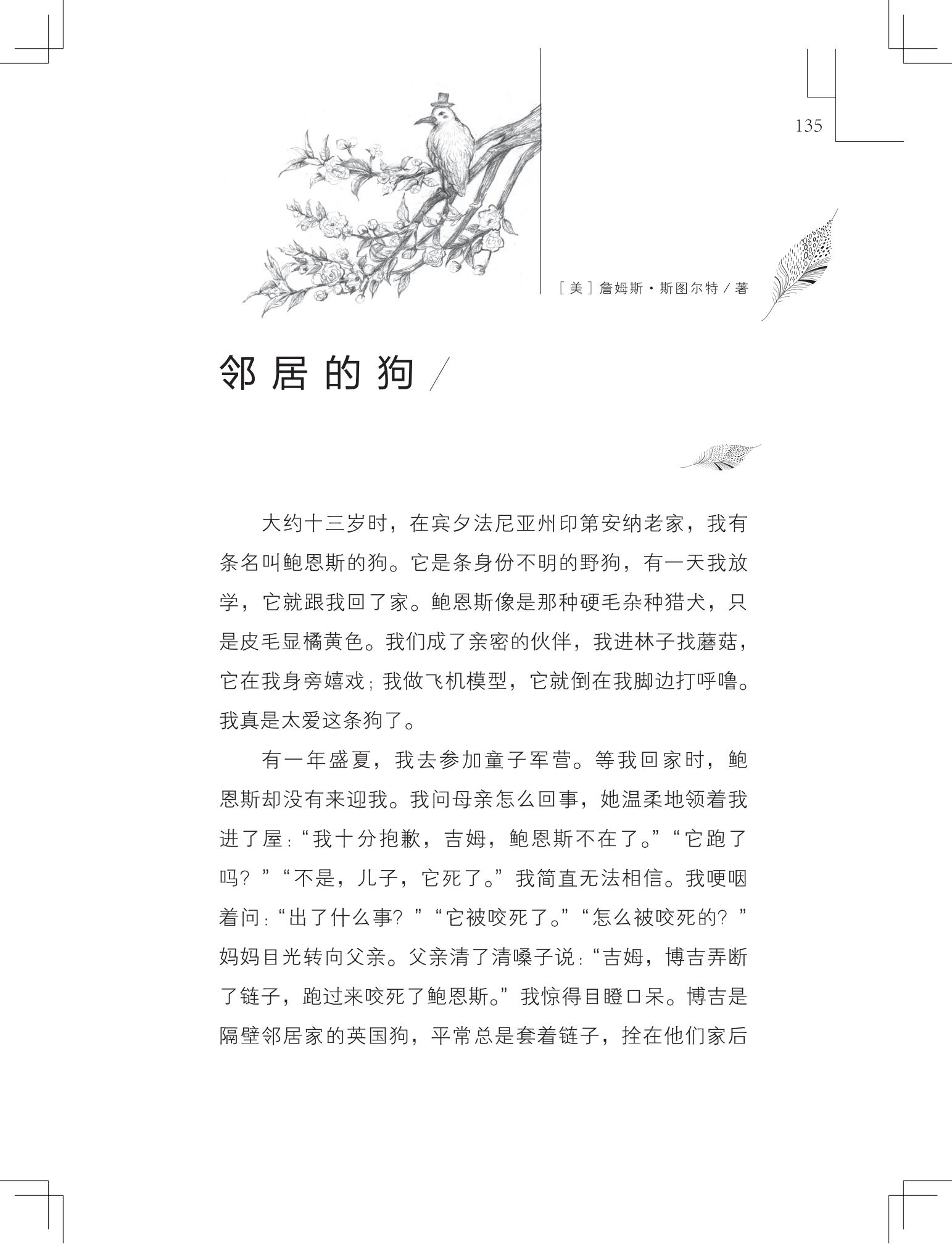 《做在大胡子里的鸟窝 》